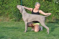 Dio The Magic Boy of Diam Weim